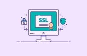 Ücretsiz SSL Sertifikası Hangi Siteler İçin Tercih Edilmelidir?